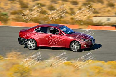 media/Nov-16-2024-Extreme Speed (Sat) [[6587d07cc4]]/Purple Group/Session 3 (The Bowl)/